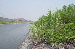 雷诺护垫在湖南醴陵市铁河清