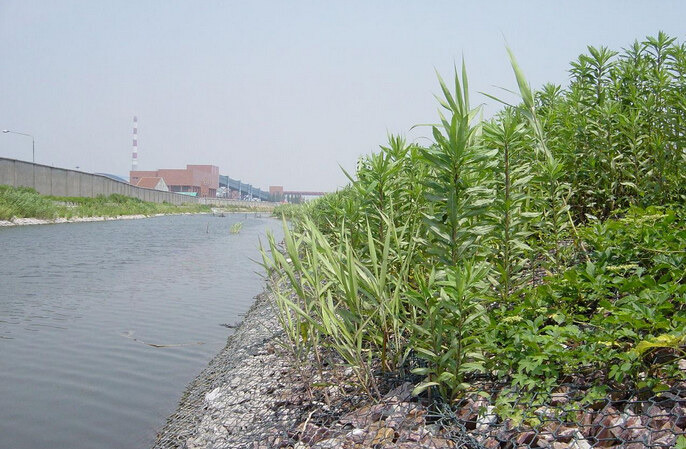 雷诺护垫在河道治理中的应用