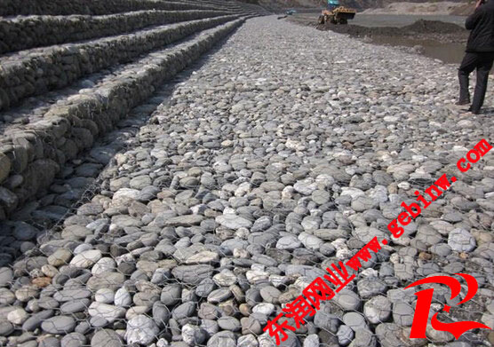 ���������߹���ͼƬ