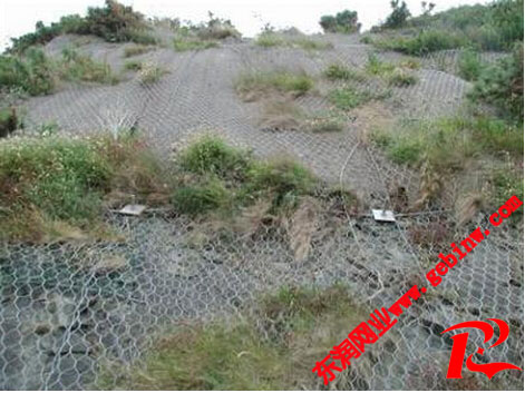 石笼网山区公路工程应用图