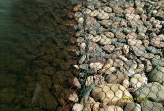 河边装石头的是什么网？